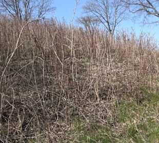 Wanderung Florianrunde