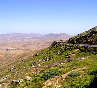 Harley Tour Fuerteventura - Strasse
