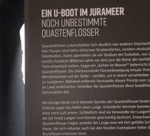 Dinosaurier Museum Altmühltal