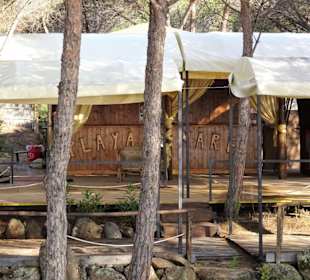 Strand-Restaurants im Schatten der Pineda