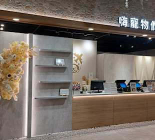 Flughafen Taiwan Taoyuan