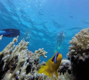 Schnorcheltripp Naturschutzgebiet