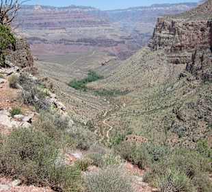 Grand Canyon - Blick auf den Indian Garden