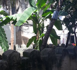 Stadtrundgang Stone Town