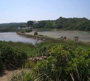 Aufstieg zum "Mirador"