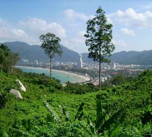 Blick auf Patong und Patong Beach