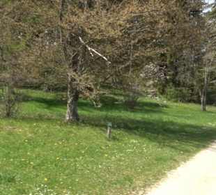 Premiumspazierwanderweg - Hochgehhütet