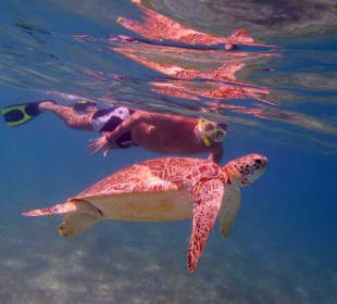 Bei Akumal