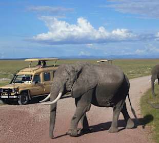 Amboseli safari