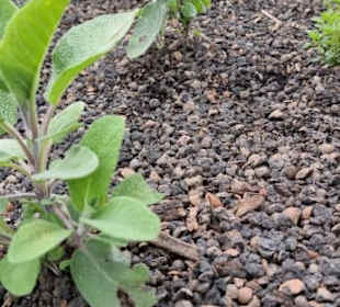 Mit Lavasteine besetzt