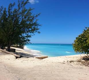 Im Bereich des National Parks