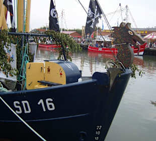 Regattatage 2009