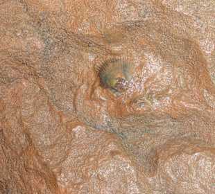 Erzgruben-Erlebniswelt Theresien-Grube Muschel