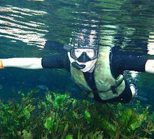 Schnorcheln im Aquario Natural