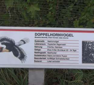 Vogelfreifluggelände