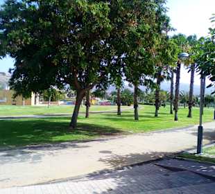 Parque del Sur in Maspalomas