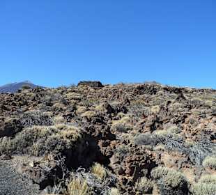 Teide 