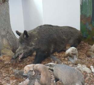 Muzeum na Świętym Krzyżu