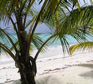 La Isla Saona - Dominikanische Republik