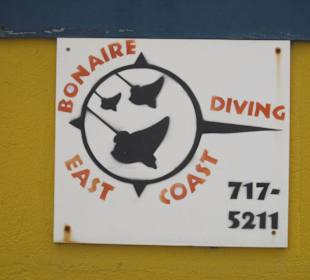 Diving