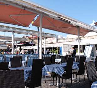 Ausflug zum Hafen in Pafos