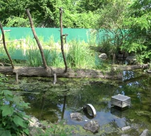 Zoo Heidelberg