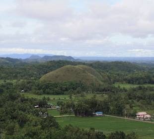 Chocolate Hills
