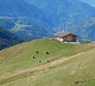 Seiser Alm