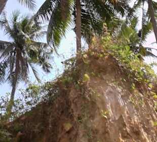Bild beim Flußspaziergang