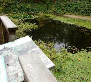 Tümel mit viel LEben