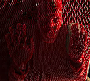 Museum Ripley's Believe It or Not!