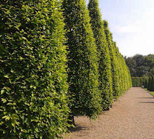 Sehr schöne Gartenanlage