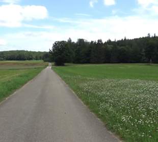 Wanderung Froschteich-Tour