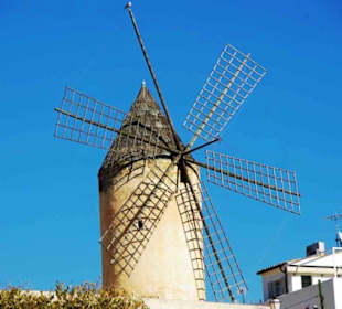 Überall die kleinen Windmühlen