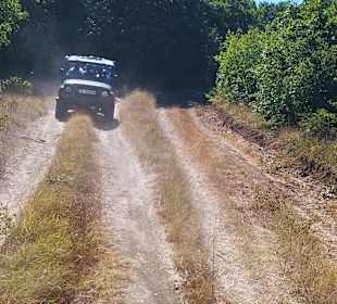 Safari Tour Albena