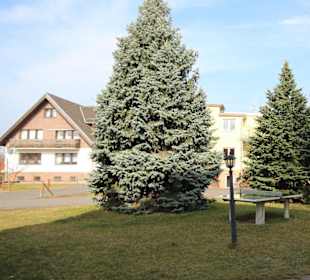 Blick vor der Kirche