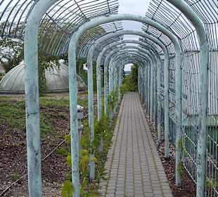 Ogród na dachu Biblioteki Uniwersyteckiej