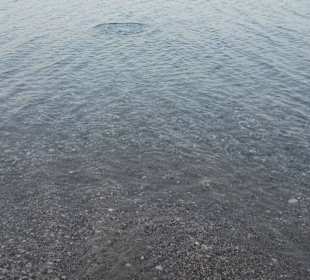 Oasis Hotel & Bungalows 2015