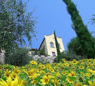 Die Gärten von Schloss Trauttmansdorff
