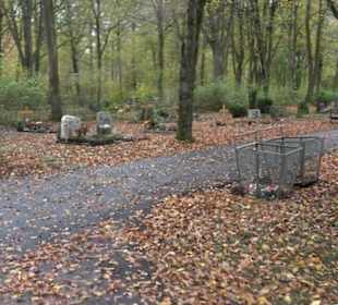 Waldfriedhof