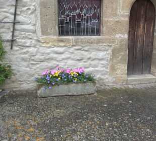 Altes Beinhaus