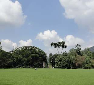 Botanical Garden Peradeniya