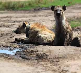 Im Namen der Wissenschaft