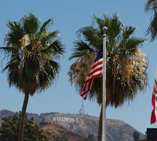 Mit Palmen und Flaggen