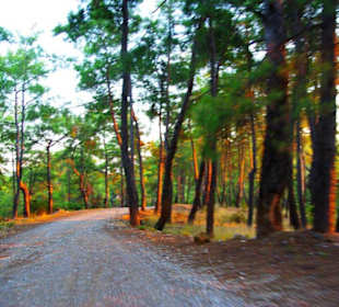 Sulahikulle - Vergessene Stadt