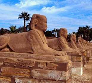 Bild vom Card Partner - "El Gouna Reisen"