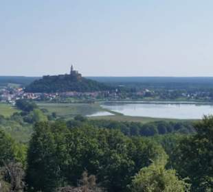 Burg Güssing vom Rosenberg
