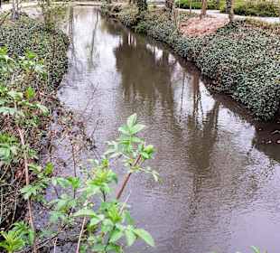 Im Rosengarten