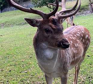 Wandern Malles Venosta / Mals