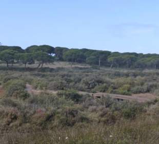 Bei einer Wanderung im Park Natural Ria Formosa
